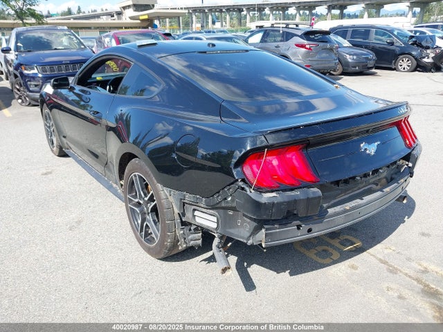 Ford 4v 2019 1FA6P8TH2K5173052 Image 3