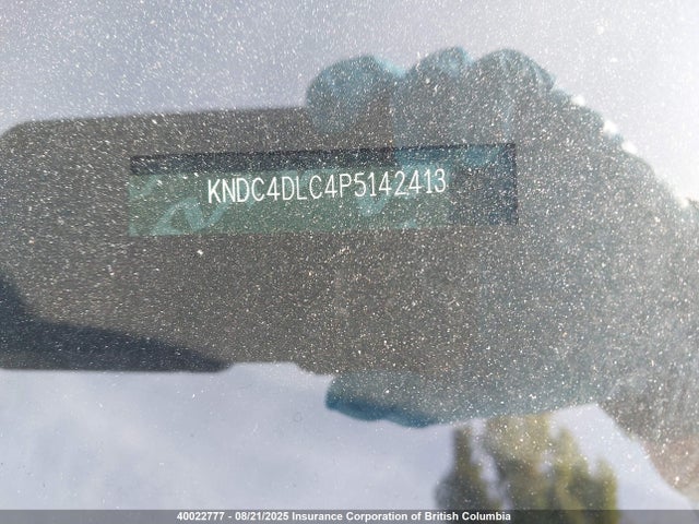 KNDC4DLC4P5142413 KIA 2023