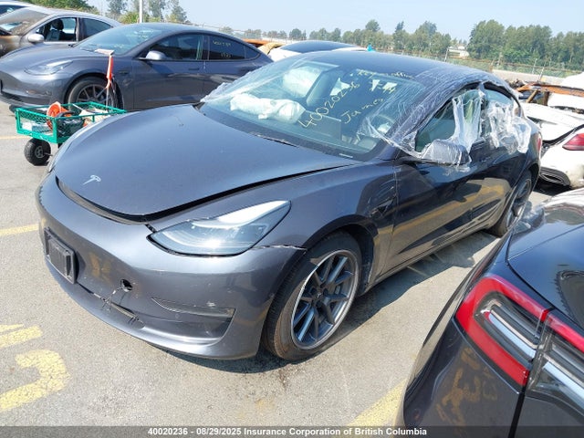 Tesla MODEL 3 2022 5YJ3E1EA4NF347023 Image 2