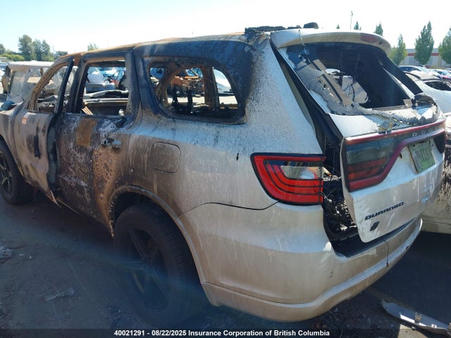 Dodge Durango 2019 1C4SDJCT9KC764827 Image 3