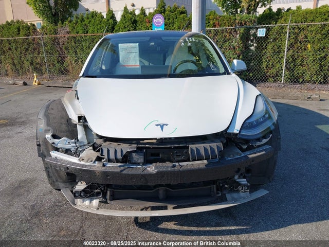 5YJ3E1EA7LF626169 Tesla 2020