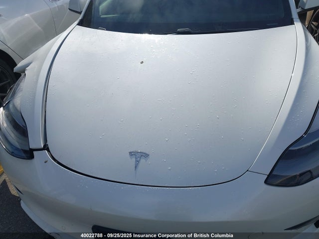 5YJ3E1EA1MF001784 Tesla 2021
