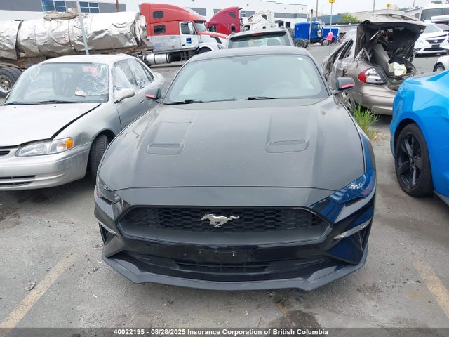 Ford Mustang 2020 1FA6P8TH2L5140067 Image 12