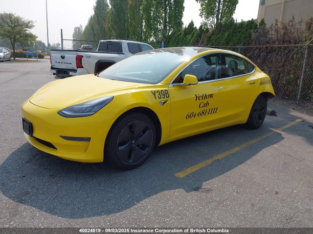Tesla MODEL 3 2020 5YJ3E1EA4LF808668 Image 2