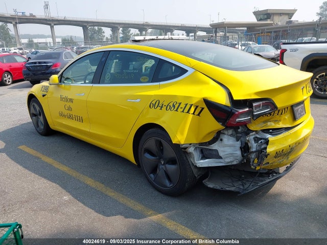 Tesla MODEL 3 2020 5YJ3E1EA4LF808668 Image 3