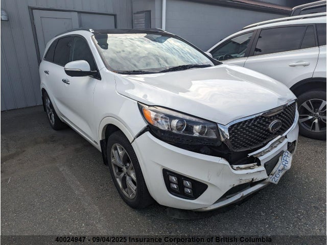 5XYPKDA56HG308273 KIA 2017