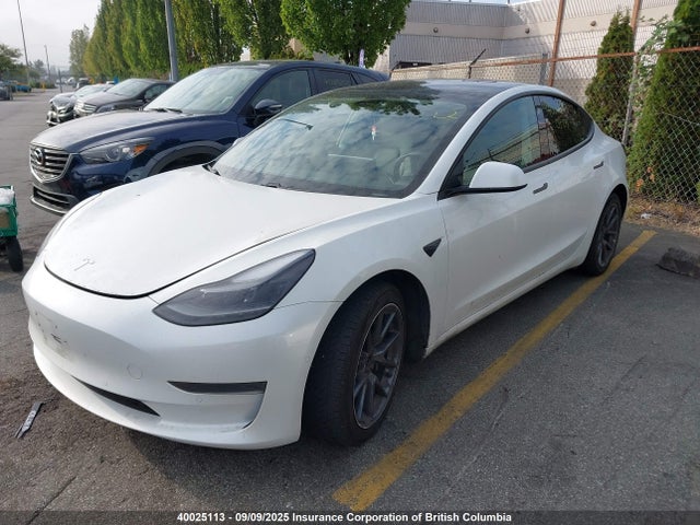 Tesla MODEL 3 2021 5YJ3E1EA5MF907565 Image 2