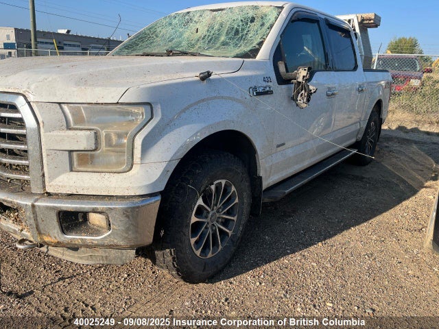 1FTEW1EP2FFC64116 Ford 2015