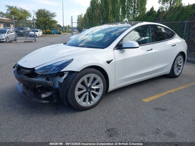 Tesla MODEL 3 2021 5YJ3E1EA1MF082009 Image 2