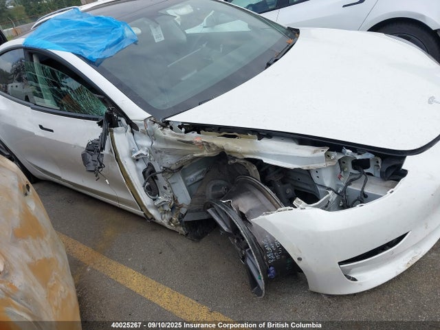 5YJ3E1EA3MF989344 Tesla MODEL 3