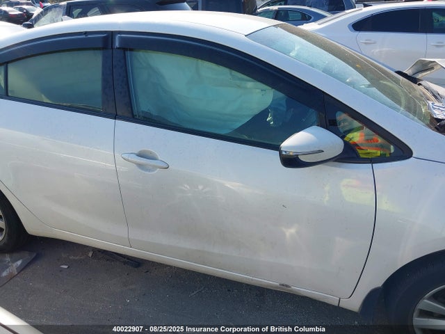 KIA 2014 2014 KNAFX4A65E5227207 Image 13