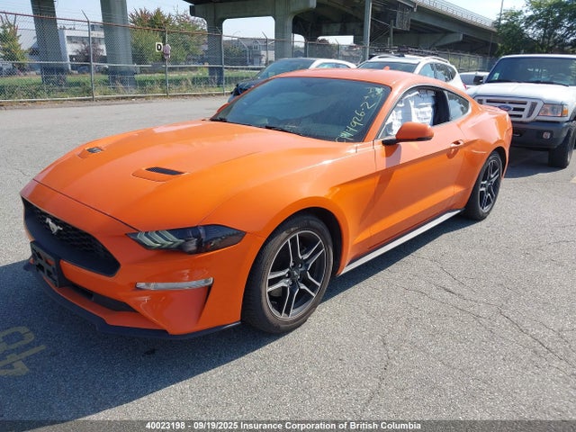 Ford Mustang 2020 1FA6P8TH4L5140099 Image 2