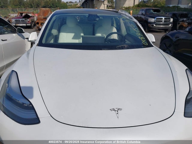 Tesla 2020 2020 5YJ3E1EB2LF716693 Image 10