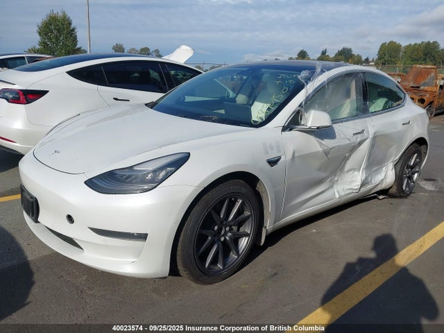 Tesla 2020 2020 5YJ3E1EB2LF716693 Image 2