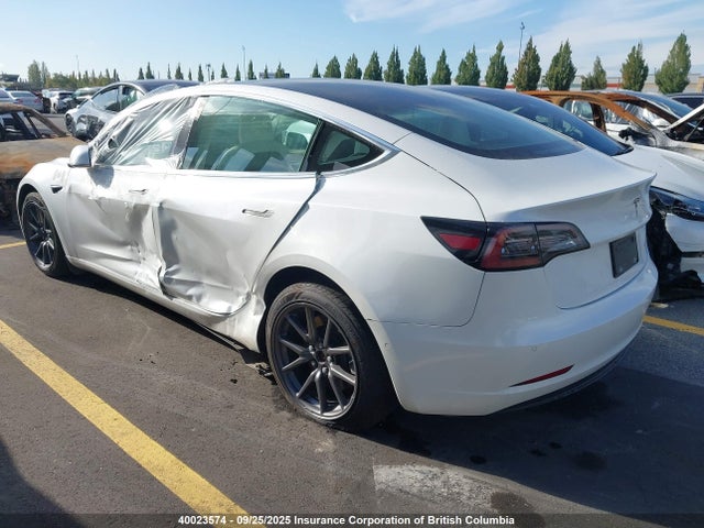 Tesla 2020 2020 5YJ3E1EB2LF716693 Image 3