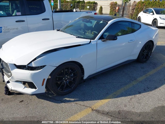 Ford 4v 2024 1FA6P8TH8R5125534 Image 2