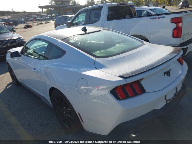 Ford 4v 2024 1FA6P8TH8R5125534 Image 3