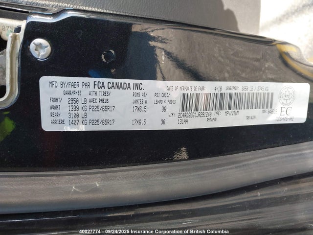Dodge 2018 2018 2C4RDGEG1JR291240 Image 9