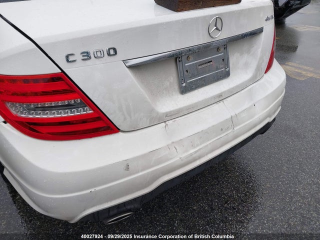 WDDGF8AB6EA914496 Mercedes-Benz 2014