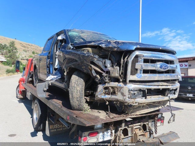 Ford F150 2016 1FTEW1EG9GKF29042 Image 25