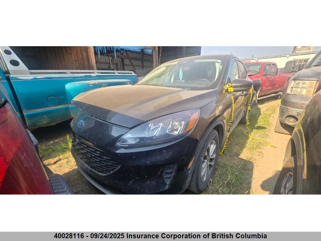 1FMCU9G69MUA17650 Ford dragon di tc