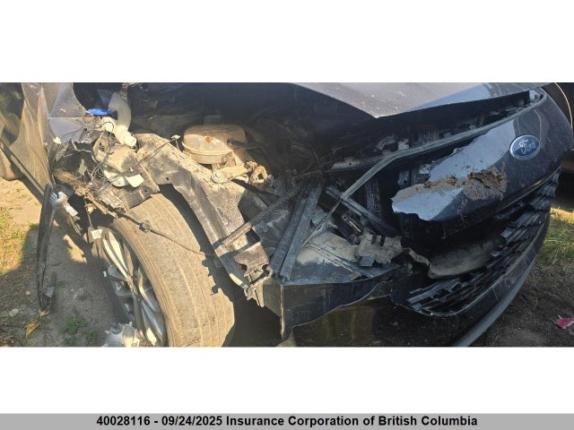 1FMCU9G69MUA17650 Ford dragon di tc