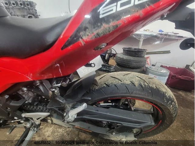 Kawasaki 2024 2024 ML5EXGJ10RDA16087 Image 10