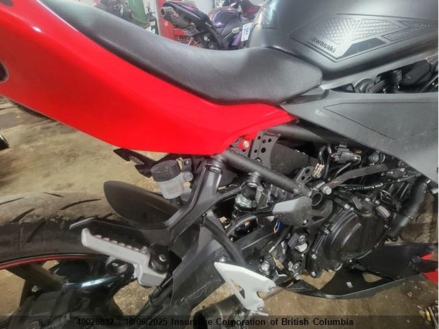 Kawasaki 2024 2024 ML5EXGJ10RDA16087 Image 7