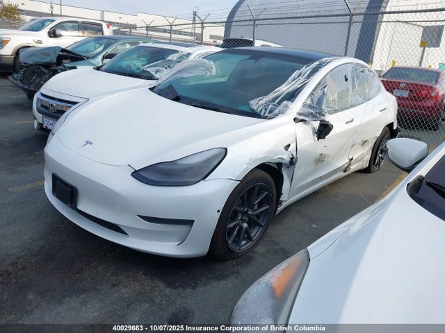 Tesla MODEL 3 2021 5YJ3E1EA5MF088329 Image 2