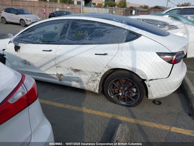 Tesla MODEL 3 2021 5YJ3E1EA5MF088329 Image 3
