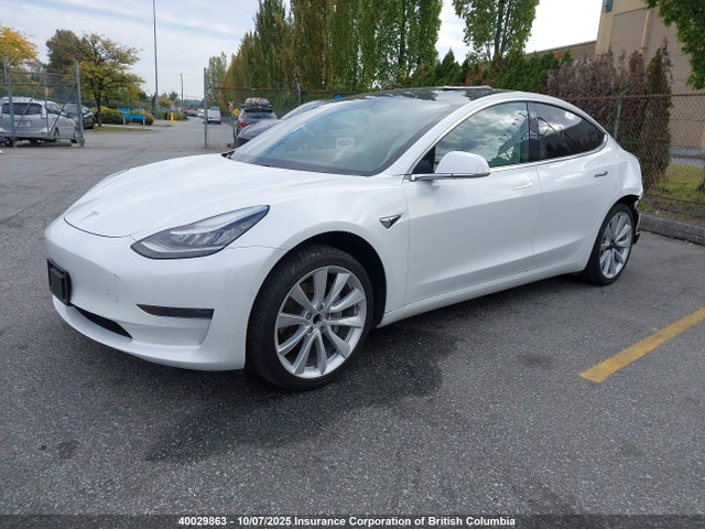 Tesla 2020 2020 5YJ3E1EA2LF604080 Image 2