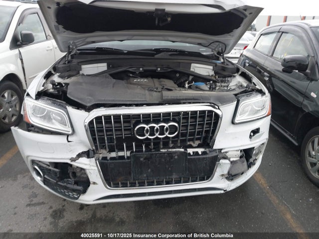 Audi flex fuel - e85 2016 WA1W2AFP9GA088902 Image 6