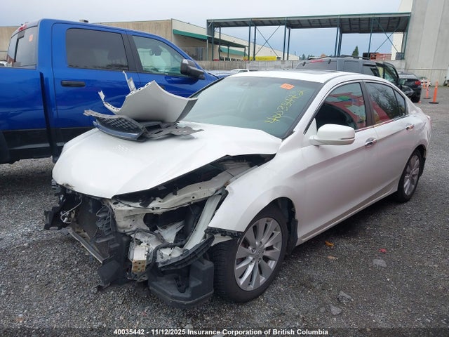 Продаж на аукціоні авто 2013 Honda Accord Exl, vin: 1HGCR2F84DA808719, номер лоту: 40035442