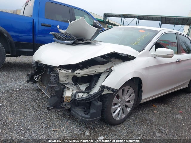 Продаж на аукціоні авто 2013 Honda Accord Exl, vin: 1HGCR2F84DA808719, номер лоту: 40035442