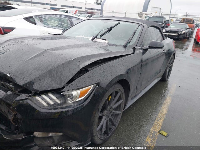 1FATP8EMXH5318103 Ford Mustang