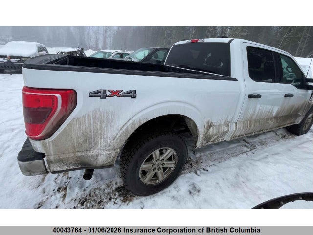 Ford gtdi 2023 1FTFW1E80PKD76032 Image 3