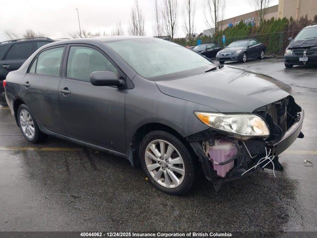 2010 Toyota Corolla S/le/xle მანქანა იყიდება აუქციონზე, vin: 2T1BU4EE5AC250947, აუქციონის ნომერი: 40044062
