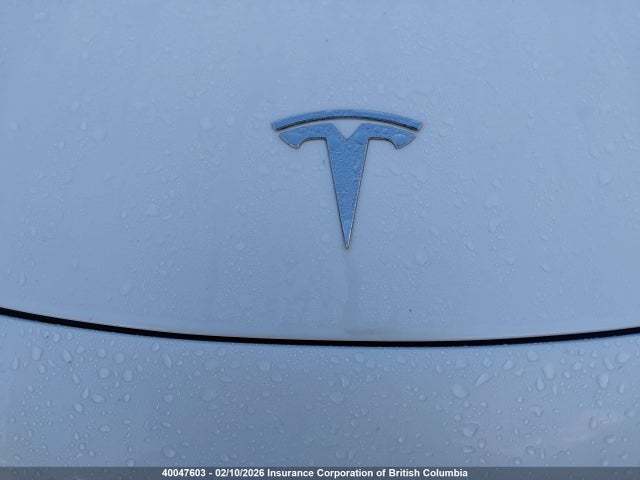 Tesla MODEL 3 2020 5YJ3E1EA8LF784102 Image 10