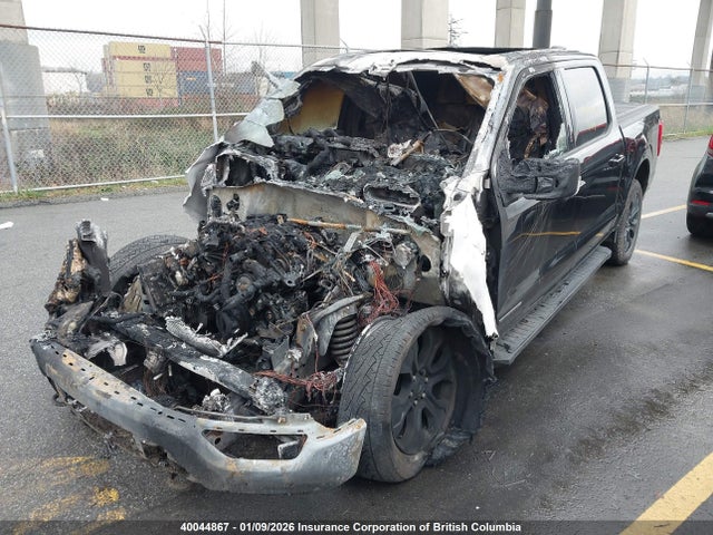Продажа на аукционе авто 2023 Ford F150 Supercrew, vin: 1FTFW1ED5PFC94982, номер лота: 40044867