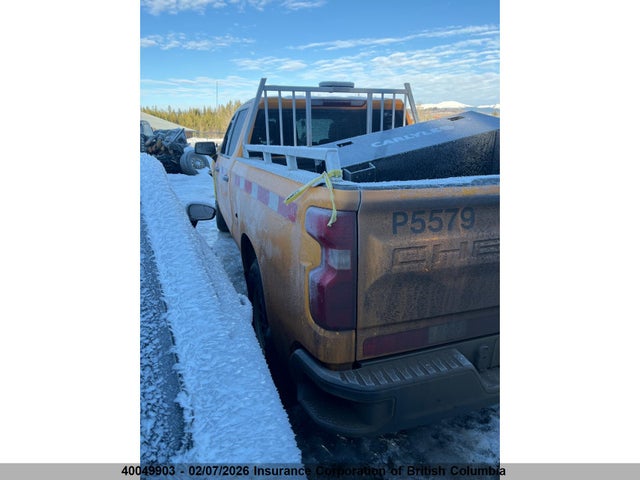1GCPKAEK3SZ190867 Chevrolet Silverado K1500