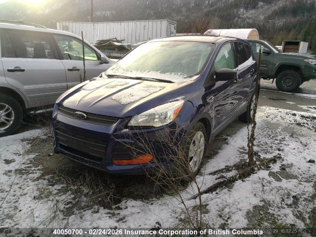 2014 Ford Escape S მანქანა იყიდება აუქციონზე, vin: 1FMCU0F73EUB88529, აუქციონის ნომერი: 40050700