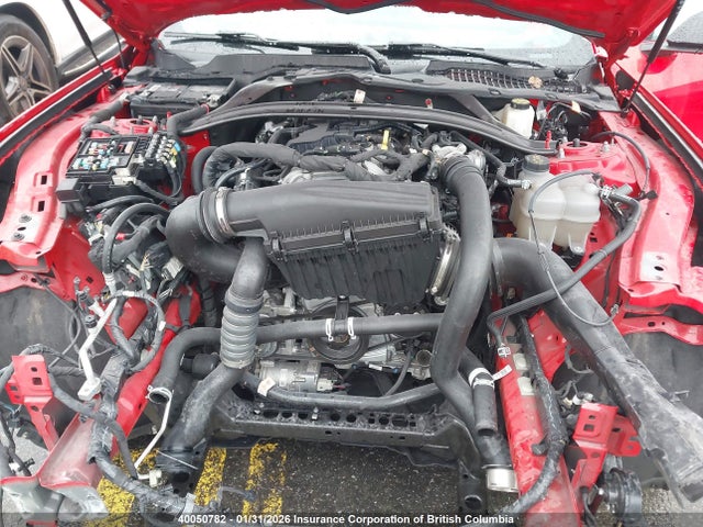 1FAGP8UHXR5105885 Ford Mustang