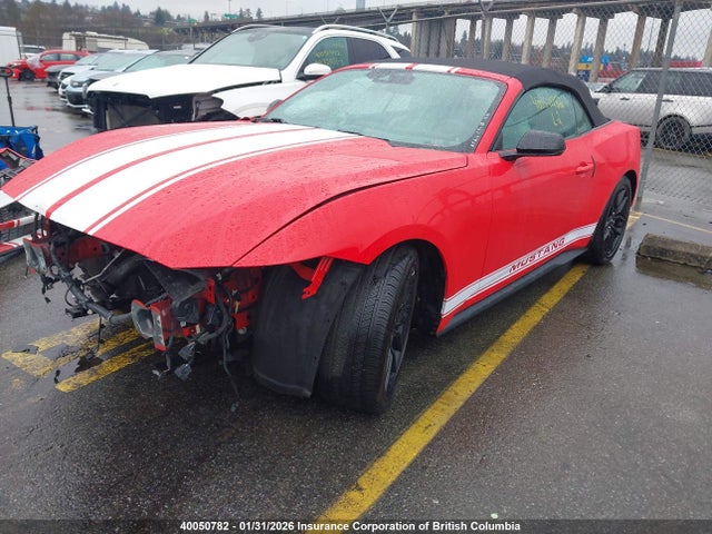 1FAGP8UHXR5105885 Ford Mustang