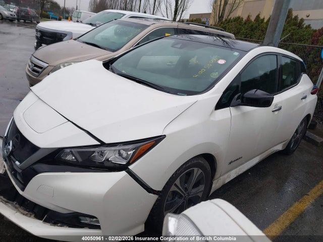 1N4AZ1CP0KC313999 Nissan Leaf