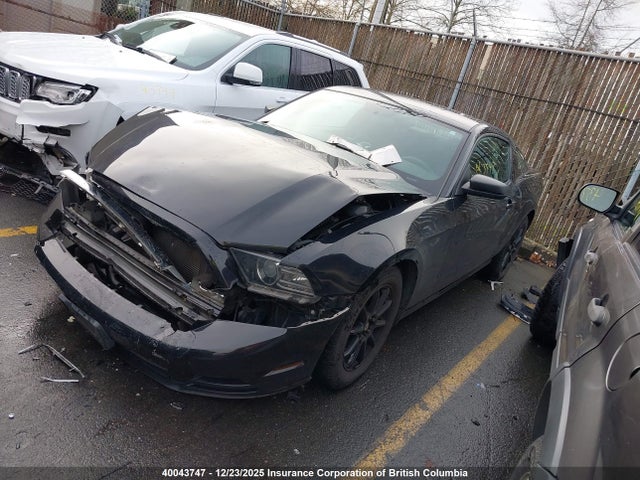 1ZVBP8AM9E5317707 Ford Mustang