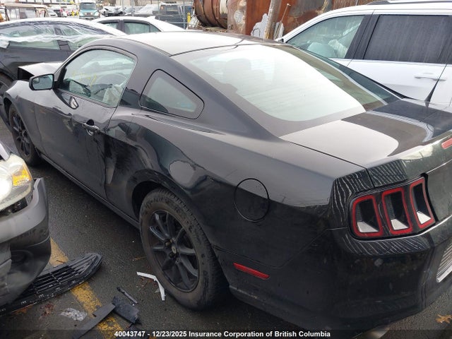 1ZVBP8AM9E5317707 Ford Mustang