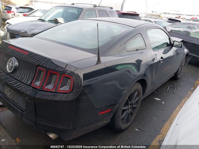 1ZVBP8AM9E5317707 Ford Mustang