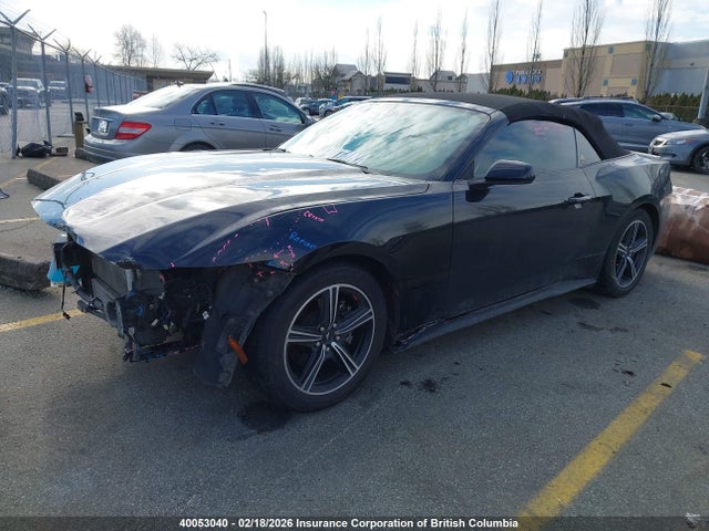 1FAGP8UH7R5132915 Ford Mustang
