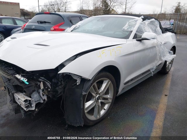 1FATP8UH3M5123782 Ford Mustang