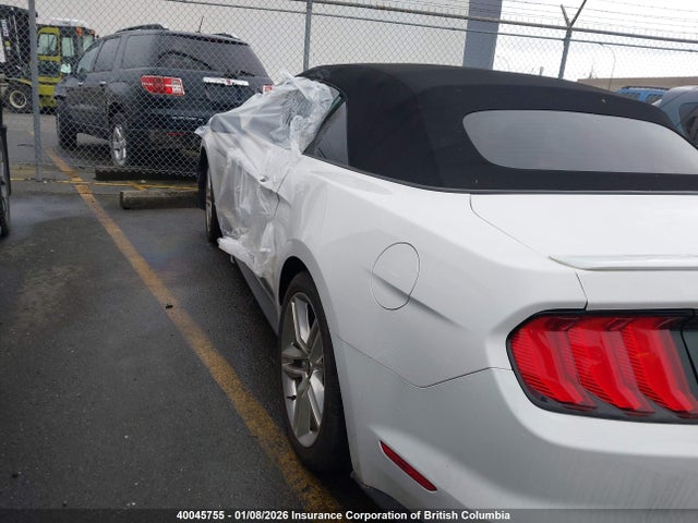1FATP8UH3M5123782 Ford Mustang